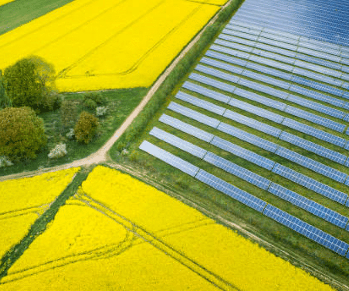 Fields and solar panels
