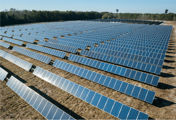 solar-panel-rows