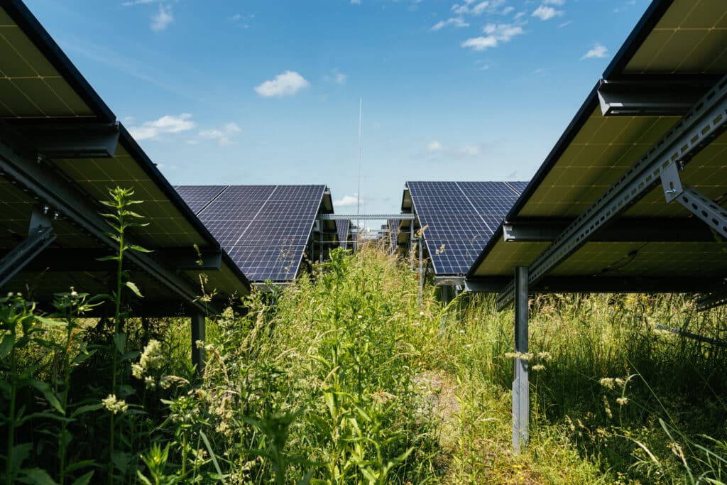Commercial solar farm array in a field in Europe 